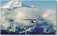 McKinley Quest Fixed Wing